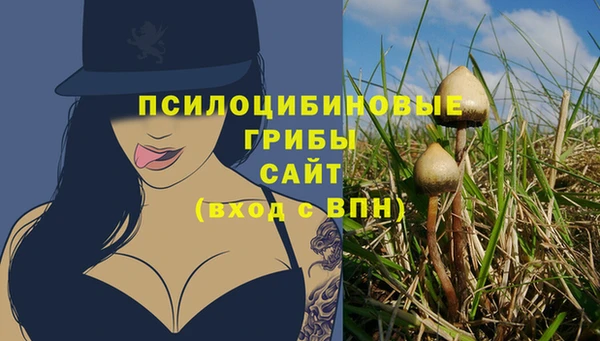 MDMA Заводоуковск