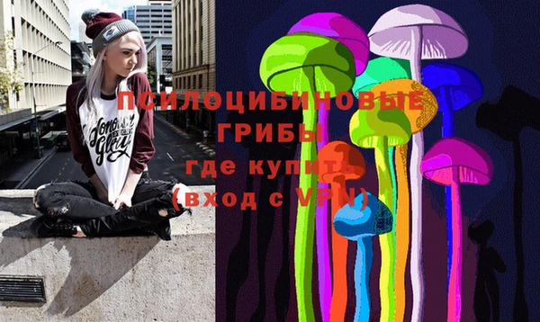 мдпв Заволжск