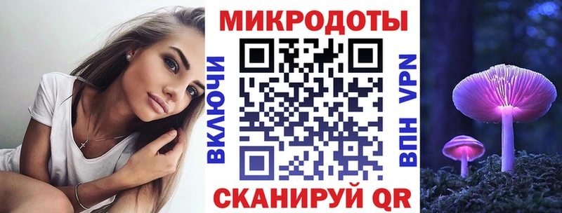 Галлюциногенные грибы Psilocybine cubensis Сольвычегодск